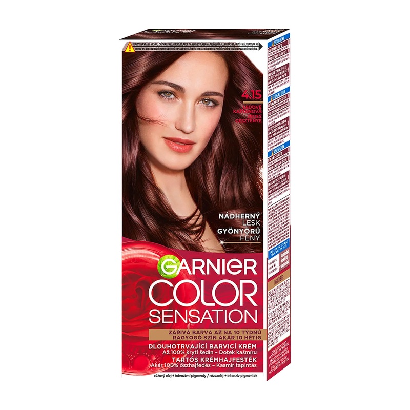 GARNIER Color Sensation 4.15 Icy Chestnut permanent hair color cream