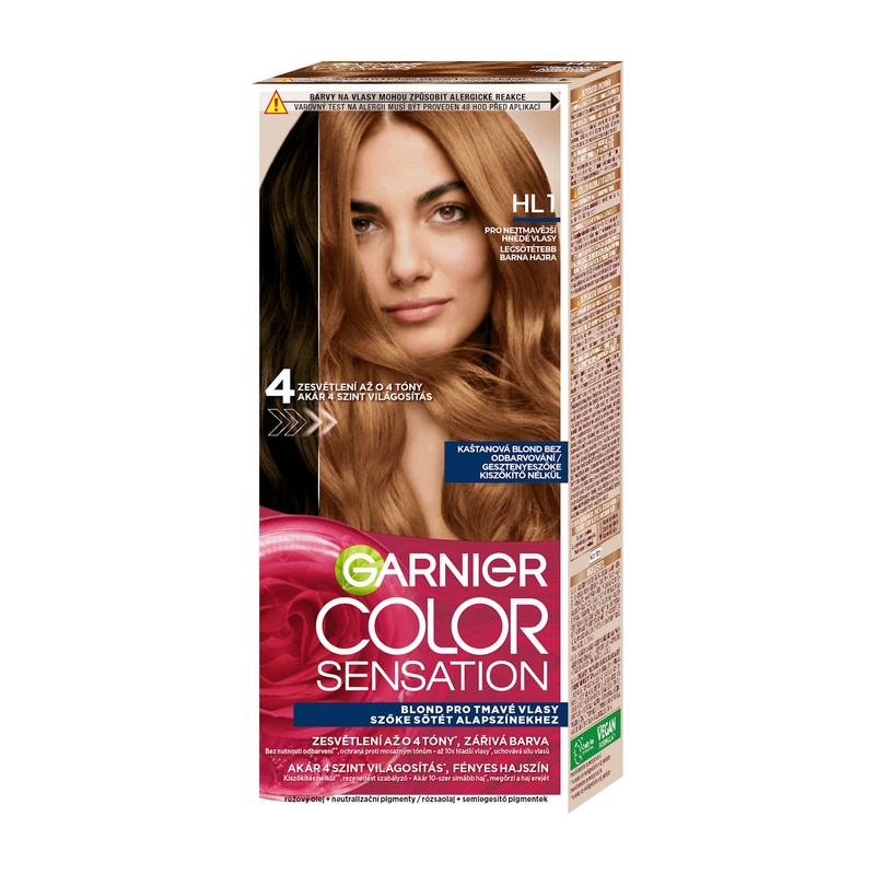 GARNIER Color Sensation HL1 Chestnut Blonde high lift for dark brown