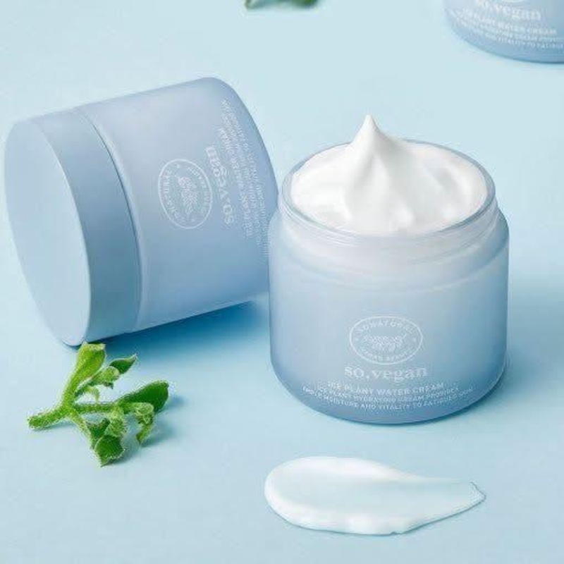 So Natural So Vegan Ice Plant Water Cream  70ml