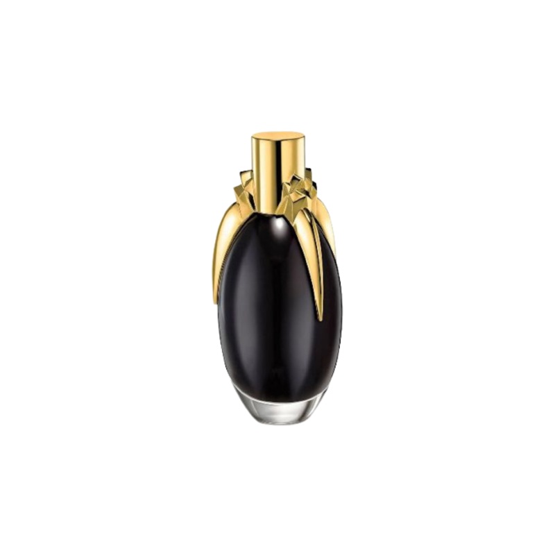 Lady Gaga Fame