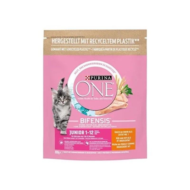 Purina One: Chicken Flavored Dry Kitten Food – High Protein, DHA Enriched, Healthy Growth Formula – Best Nutrition for Kittens
